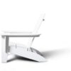 1903 Adirondack Modern Chairs