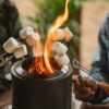 Mini Roasting Sticks