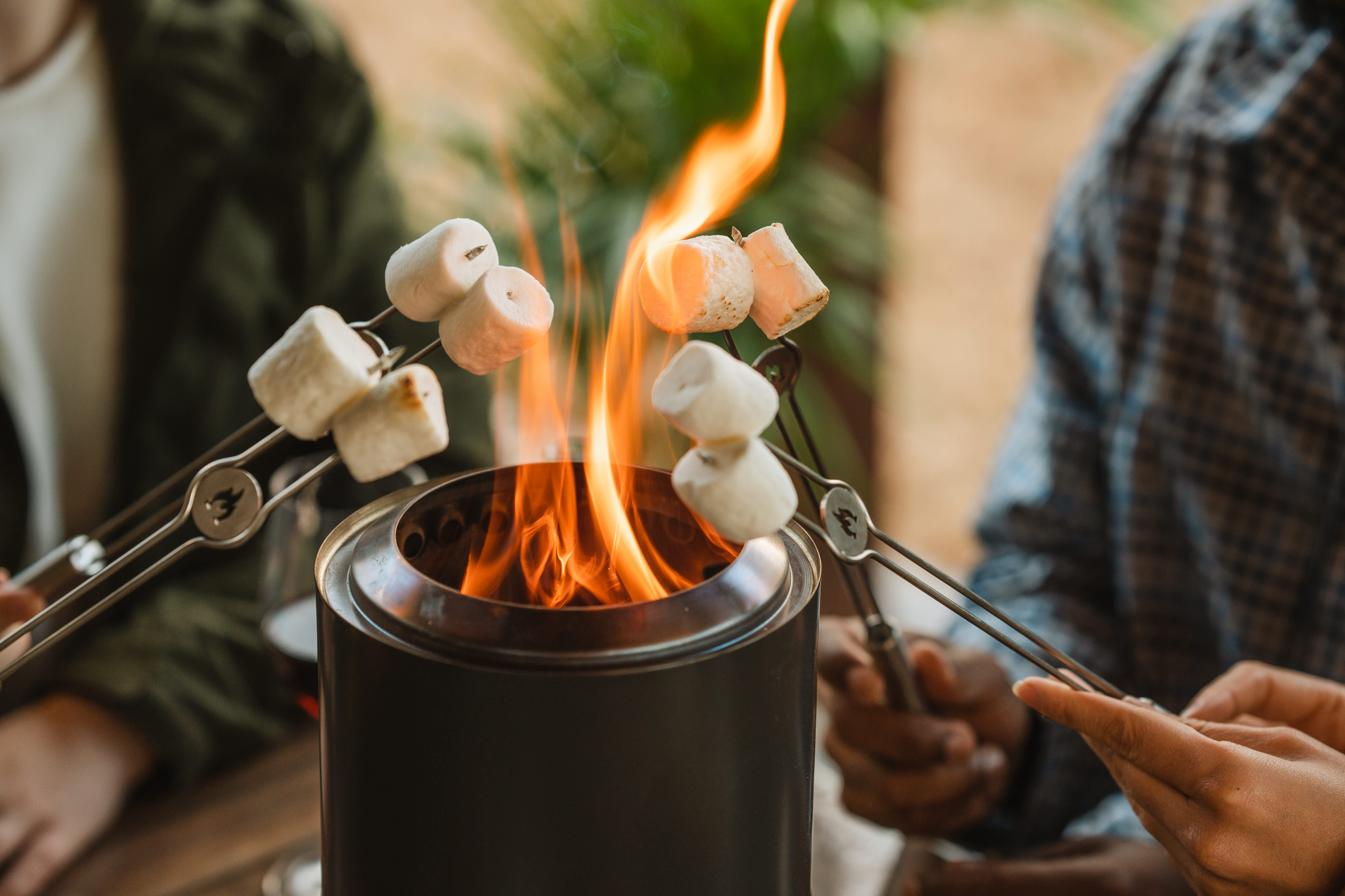 Mini Roasting Sticks