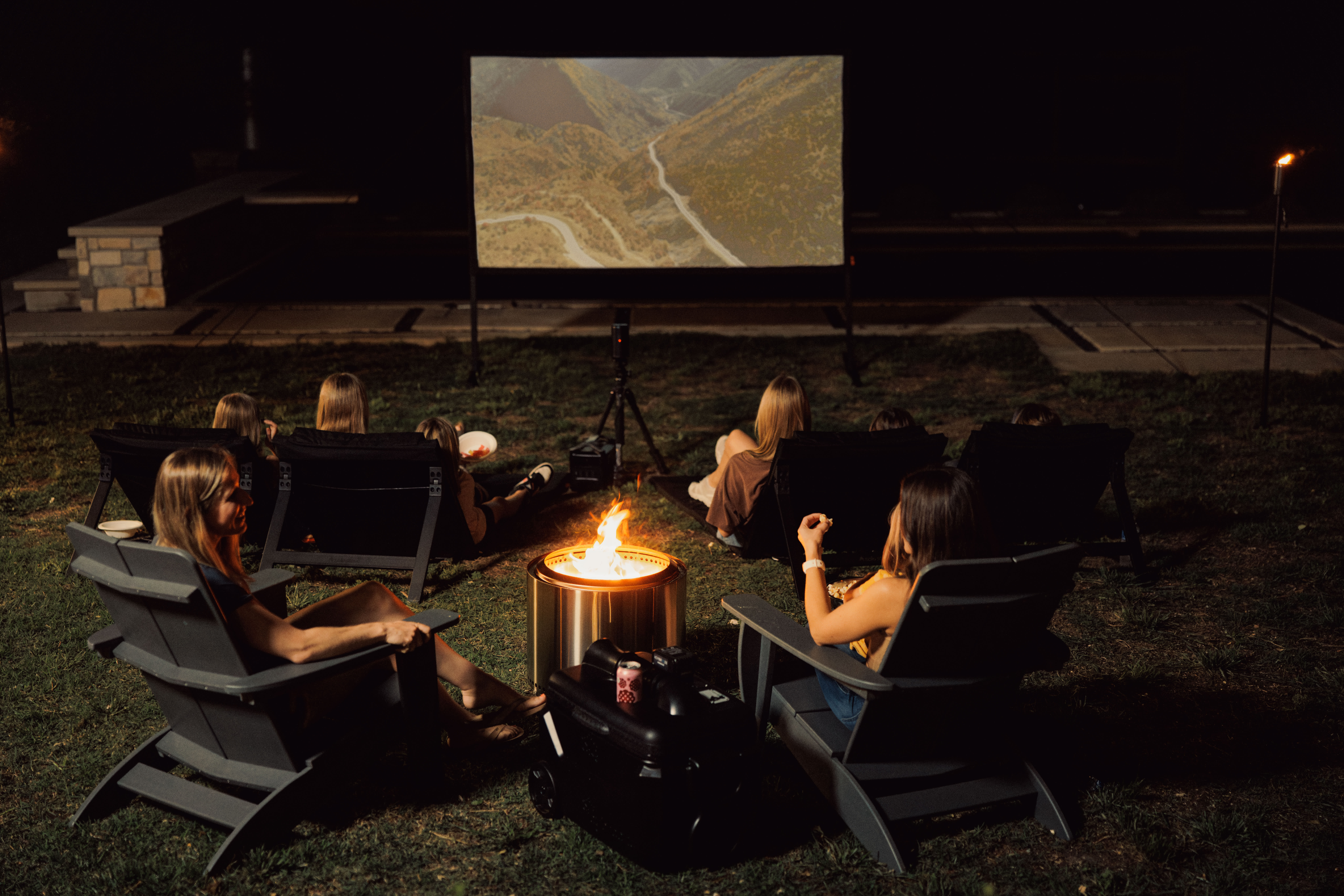 Vista Projector Screen