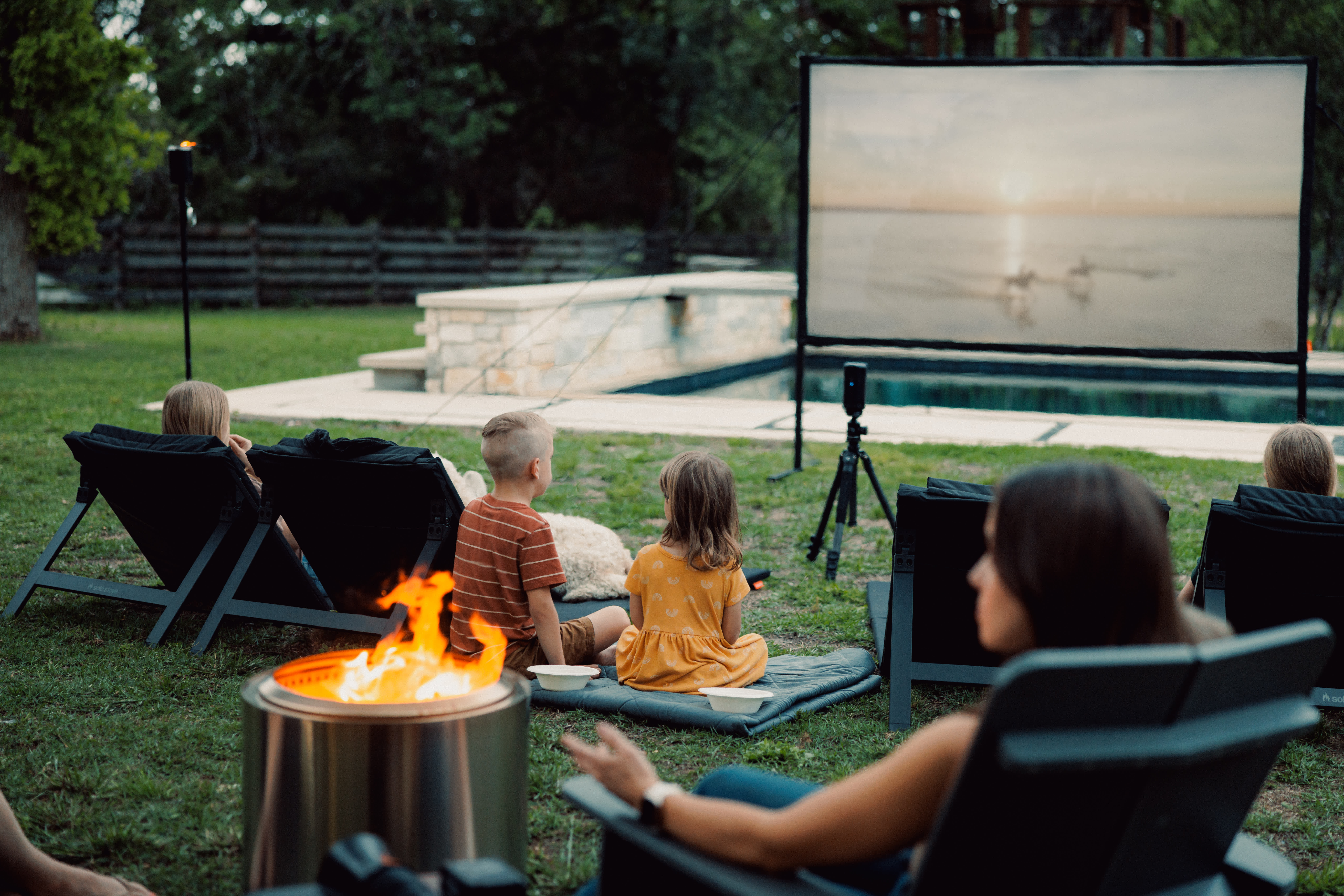Vista Projector Screen